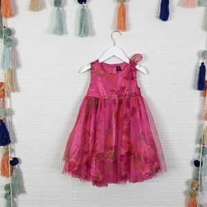 Baby Gap Tulle Floral Dress